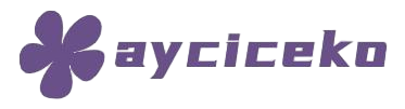 Aycicek O Can LLC
